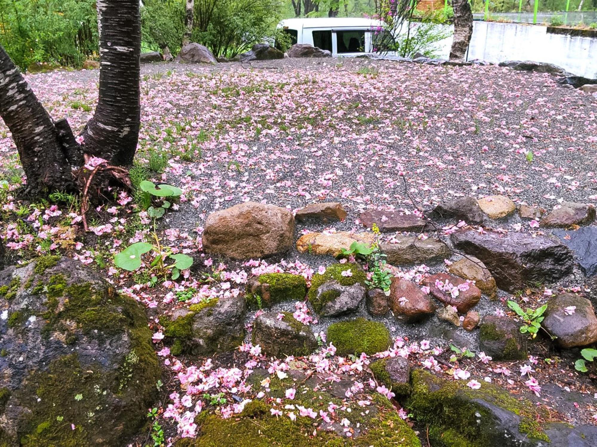 Kudo'S Lodge Hakuba Ngoại thất bức ảnh